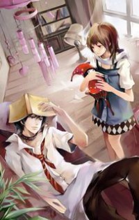叶辰风流