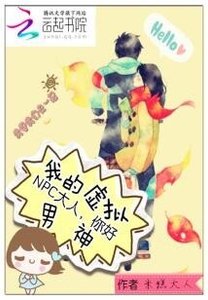 我的虚拟男神:NPC大人,你好