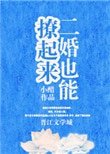 二婚也能撩起来