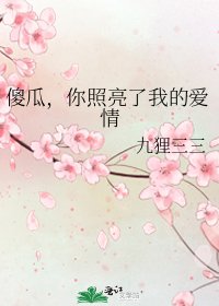 傻瓜,你照亮了我的愛情