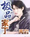 極品家丁