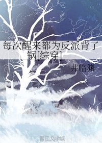 每次醒来都为反派背了锅[综穿]