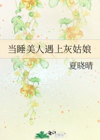 當睡美人遇上灰姑娘