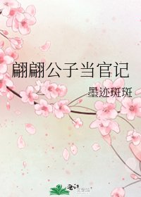 翩翩公子当官记